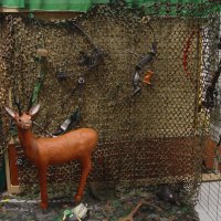 40 ans de la Compagnie